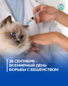 28 СЕНТЯБРЯ – ВСЕМИРНЫЙ ДЕНЬ БОРЬБЫ С БЕШЕНСТВОМ
