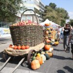 В Алматы в рамках празнования Дня города проходит яблочная ярмарка