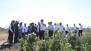 АРЫСТЫҢ АҒАШ ӨСІРУ ТӘЖІРИБЕСІ ТҮРКІСТАН ОБЛЫСЫНЫҢ АУДАН-ҚАЛАЛАРЫНА ТАНЫСТЫРЫЛДЫ