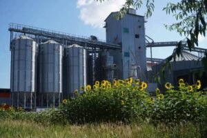 АШМ: 2027 жылғы өнімге қажетті тұқым қорының 90%-ы дайындалды