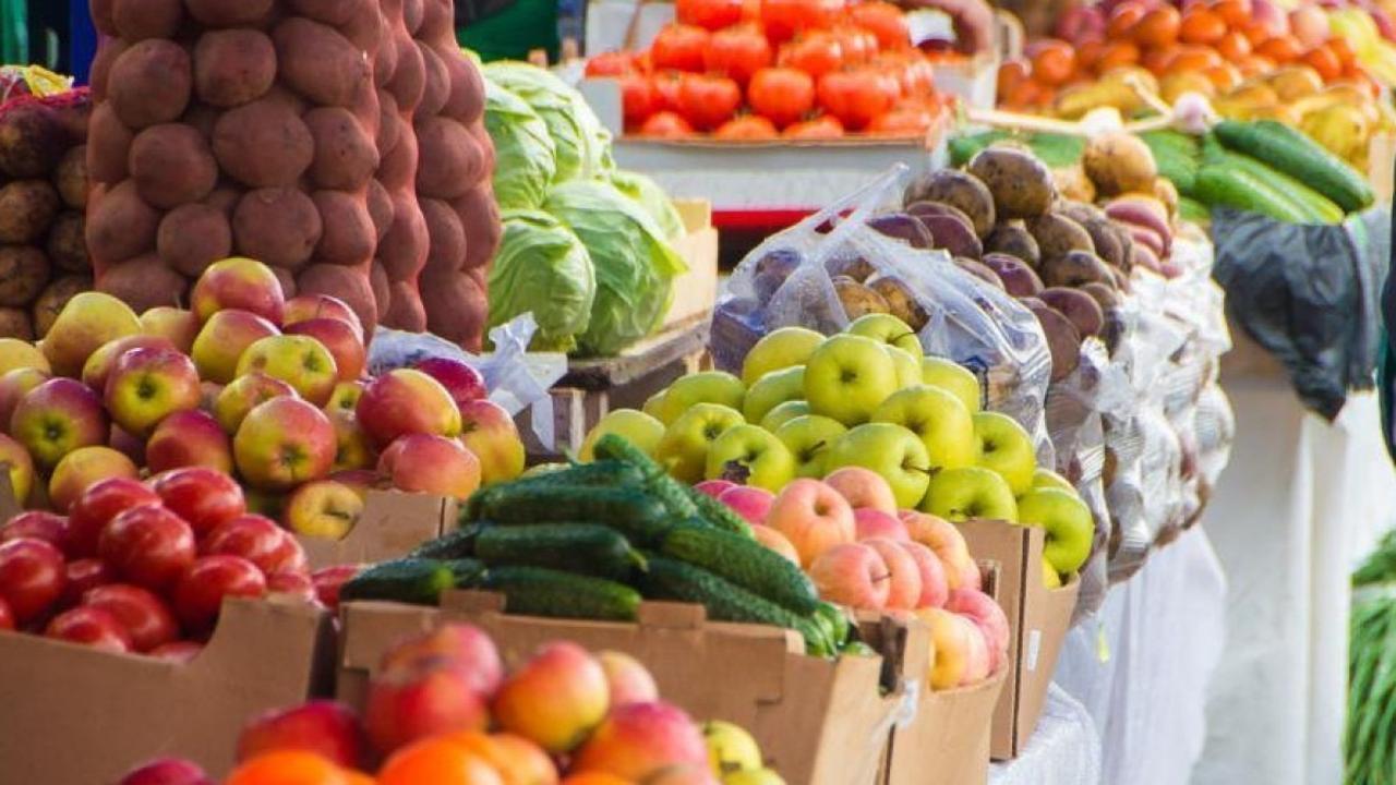 Более 400 тонн продукции представят на ярмарке в Астане Восточно-Казахстанская и Актюбинская области