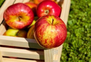 Доход в 215 млн тенге: продукция из Алматинской области пользовалась высоким спросом на ярмарке в столице   