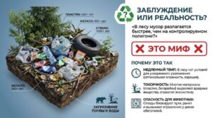 Миф или правда? Разлагается ли мусор в лесу быстрее?
