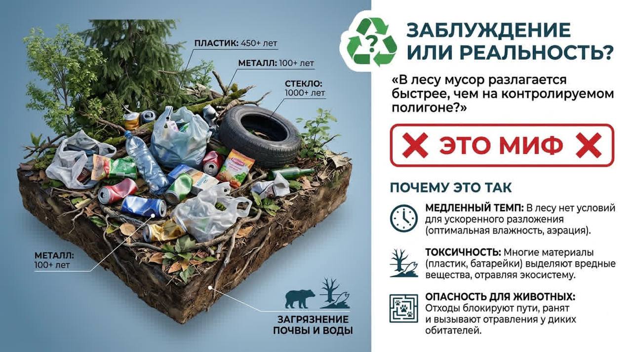 Миф или правда? Разлагается ли мусор в лесу быстрее?