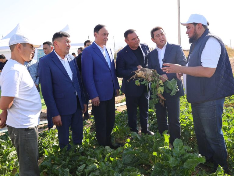 Таразский сахарный завод сможет перерабатывать до 300 тысяч тонн свеклы в год