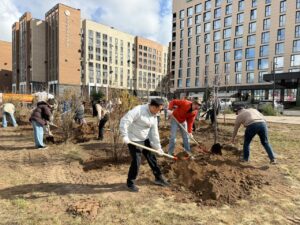 «Таза Қазақстан»: в районе Нура высадили порядка 400 деревьев