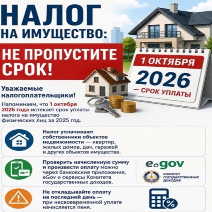 Налог на имущество: успейте оплатить вовремя!