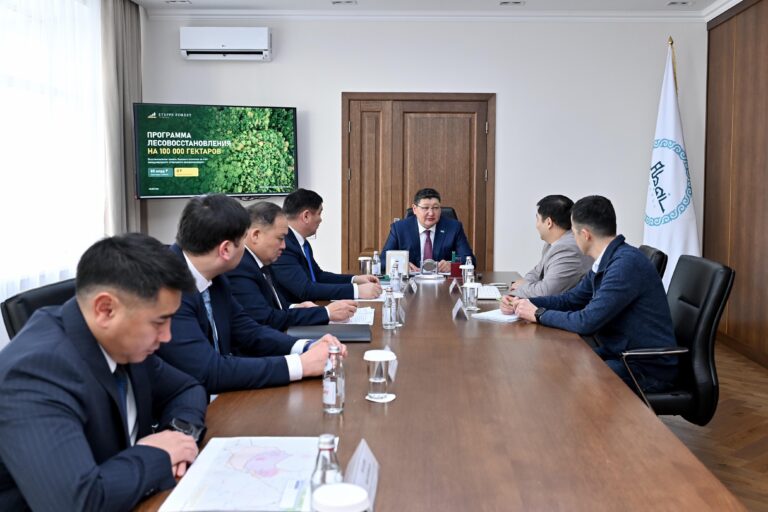 Представлен проект восстановления лесов в области Абай