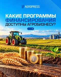 Какие программы финансирования доступны агробизнесу