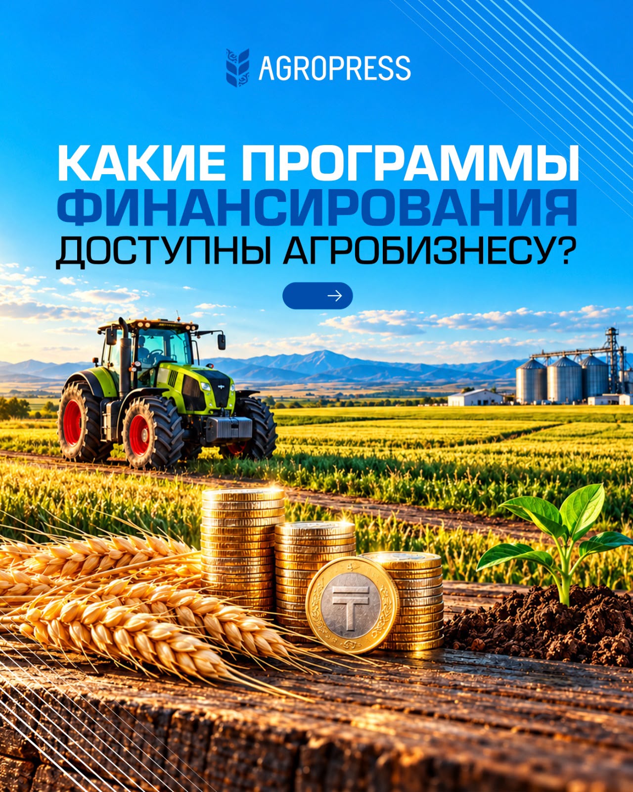 Какие программы финансирования доступны агробизнесу