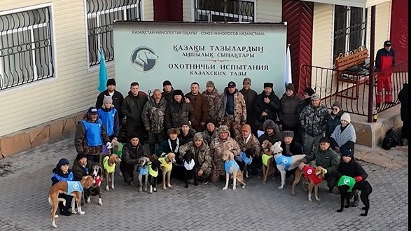 Тазы по кличке Сұңқар стал лучшим на испытаниях в Осакаровском районе