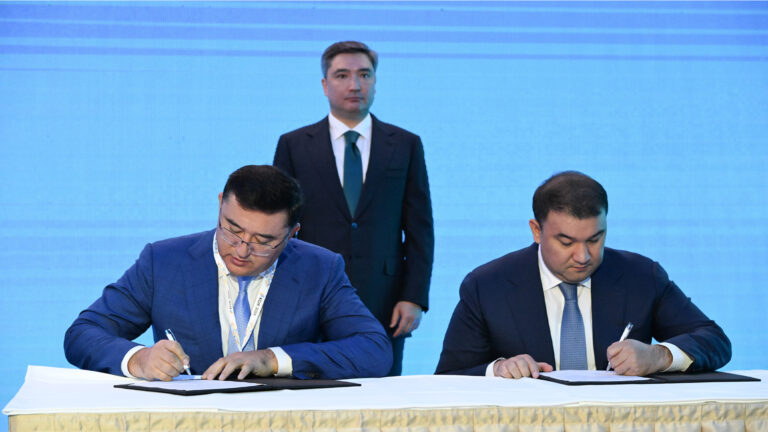 В Туркестанской области запустят мясной кластер за $111,1 млн