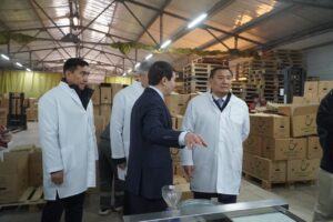 Птицефабрика «Ақкөл Құс» увеличит производственные мощности до 200 млн яиц в год