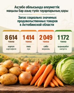 В Актюбинской области формируется запас социально значимых продовольственных товаров