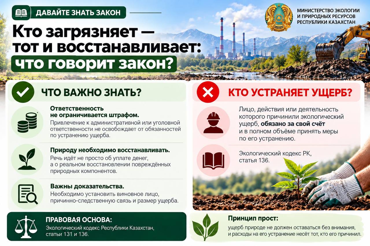 Кто загрязняет — тот и восстанавливает: что говорит закон?