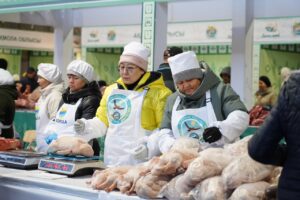 Акмолинская область завершила сезон сельскохозяйственных ярмарок в столице